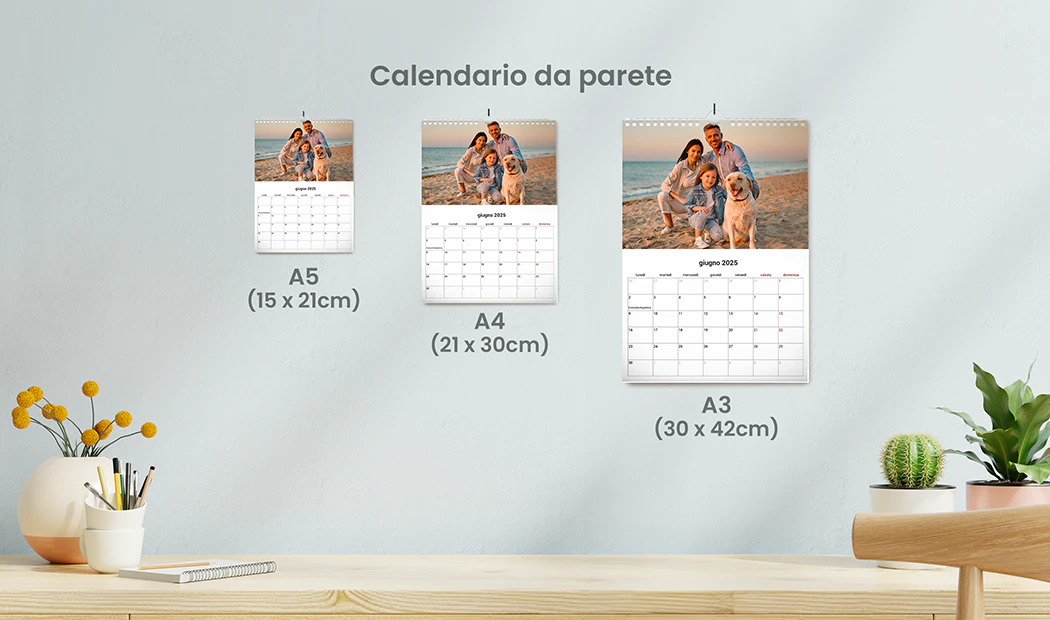 Calendari da Parete 13 fogli